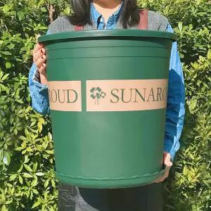 포워드테크 대형화분 플라스틱 화분 나무 원예 텃밭 분갈이 인테리어 가드닝 특대형 6호