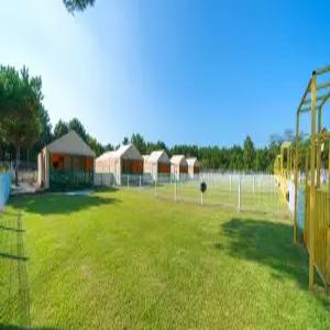 [충남] 파라독스애견펜션글램핑(충남, 태안)