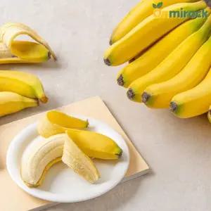 온미락 국내산 친환경 무농약 바나나 5kg 18브릭스 이상 고당도 프리미엄 무방부제 바나나