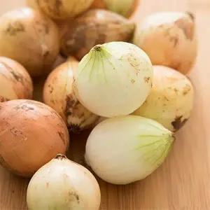 [자연맛남]제주직송 조생 양파 10kg (특품)