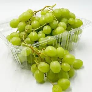 어텀크리스피 씨없는 애플 청포도 1팩당800g 1팩