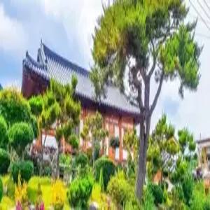 [전남 펜션] 나주 소나무정 한옥으로 잇다 (나주,함평,영광,장성)