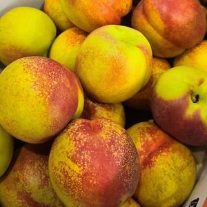 시지 않고 달콤한 망고 복숭아 3kg 소과