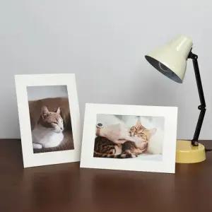 아트박스 모노라이크 스탠딩 슬림앤라이트 종이액자 - 4x6 화이트 20매