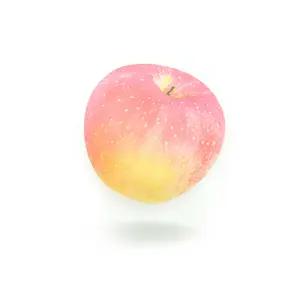 레드 애플 열매 모양 과일 점착메모지