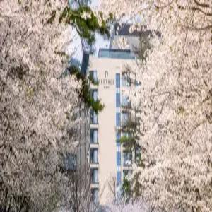 [충북] 포레스트 리솜  앤  레스트리(충북호텔/제천호텔/제천포레스트 리솜  앤  레스트리)