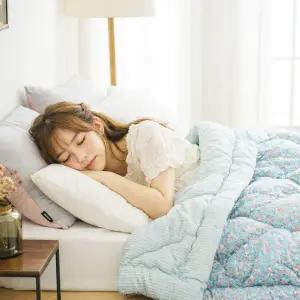 [롯데백화점]박홍근홈패션 포그니 복숭아처럼 부드러운 세미마이크로 차렵이불 퀸(Q) 195X225cm