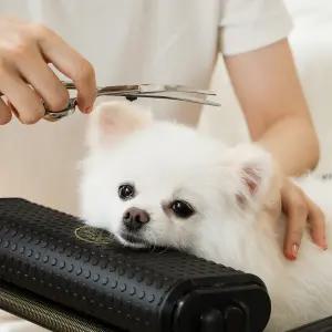 [소형]다리가 아픈 아이도 편하게 강아지 고양이 샤워베드 미용기구 목욕받침대 펫그룸 소형세트 1대(해먹포함)