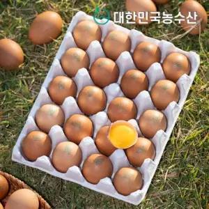 [대한민국농수산]난각번호1번 계란 유정란 20구 40구 60구 외