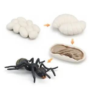 [오꿈]곤충피규어 (개미) 성장과정