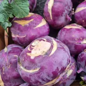 국내산 설탕없이 달콤한 스테비아 콜라비 3kg