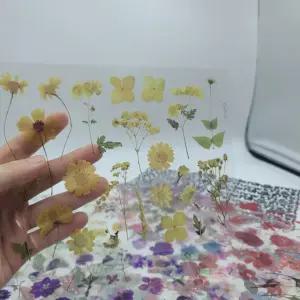 말린꽃 노트북 투명 다이어리 24장 꾸미기 폰꾸 씰 스티커 다꾸 방수 PET M50410 기획상품 잇템 압화