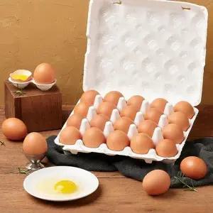 [육해공] 난각번호1번 무항생제 유정란 자연방사 HACCP인증 계란 60...