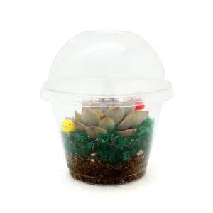 미니가든 테라리움만들기(5인용)