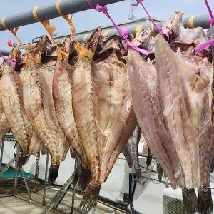 남도삼대농수산 신안 반건조 민어건정(대)50cm
