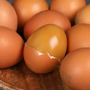 HACCP 쫀득한 맥반석 구운계란 30구 60구 든든한 간식 단백질