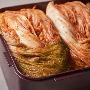 행복한 숙성 포기 배추김치 업소용 익은 묵은 신 찌게용김치10kg