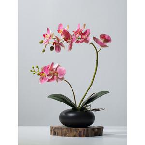 조화 난꽃 화분 블루 거실 대형 테이블 조화꽃 조화장식 승진 장식 난초 서양란 호접란