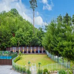 [강원 펜션] 양양 글램독 애견펜션 (양양(서피비치,낙산))