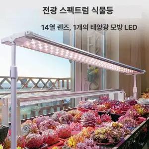 대형 식물성장등 베란다 물품 LED조경 조경 40와트