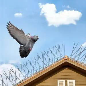 엘제이엘 에어컨실외기 비둘기퇴치 스파이크/버드/업소용/퇴치망/고양이/퇴치/접근금지/새쫓는/버드매트