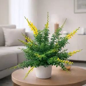 [아트플라워] 애니시다 중품 금작화 봄꽃 레몬향 노란꽃 공기정화식물 인테리어