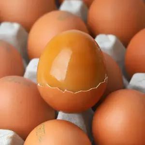 쫄깃쫄깃 명품 구운계란 맥반석 훈제란 haccp인증 30구 60구 90구 120구