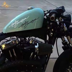 할리 데이비슨 팬 아메리카 ADV 1250 PANAMERICA 맞춤형 오토바이 연료 탱크 바디 장식 스티커 선물 데칼