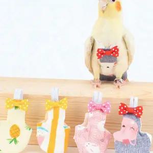 애완조 조기 기저귀 실내복 스트랩 위생복 앵무새 산책복 코뉴어 하네스 가리개 애완용 디자인 비둘기