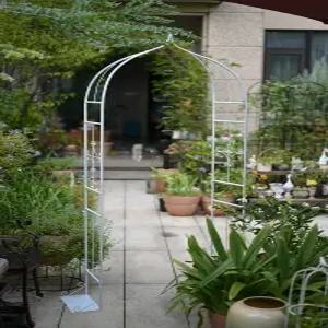 장미 아치형 정원 철제 트렐리스 덩굴 지지대 포도 클레마티스 흰색 야외 가든 식물