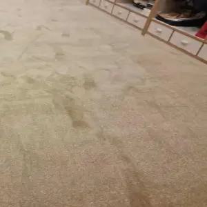 거실용 카펫 극세사 두꺼운 초대형 넓은 방수 대형 침실