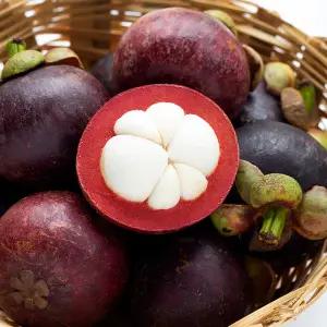 전청프레시 열대과일 태국 망고스틴 500g 2망/4망