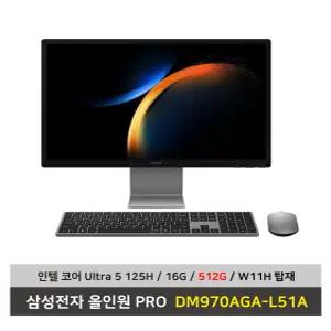 삼성전자 올인원 PRO DM970AGA-L51A 울트라5 SSD512G교체/16G/Win11탑재 일체형PC - KW