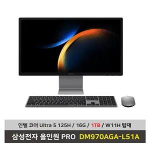 삼성전자 올인원 PRO DM970AGA-L51A 울트라5 SSD1TB교체/16G/Win11탑재 일체형PC - KW