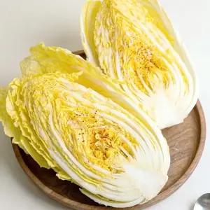 알배기 배추 알배추 쌈배추 6통