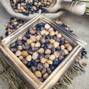 충청남도 서산 동부콩 돈부콩 500g 1kg 25년 수확한 동부콩