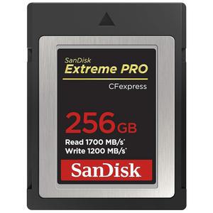 [미국배송] 샌디스크 256GB 익스트림 PRO CF 익스프레스 카드 타입 B - SDCFE-256G-GN4NN