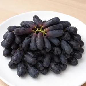 씨 없이 껍질째 먹는 블랙사파이어 포도 2kg