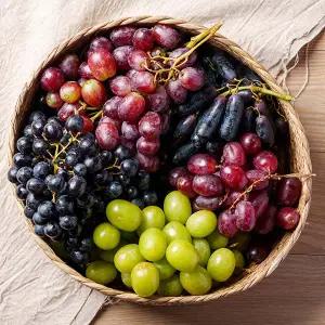 전청프레시 씨없는 포도 고당도 수입포도 5종 1kg 내외
