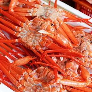 라면용 자숙 홍게 2.5kg (10-12마리)