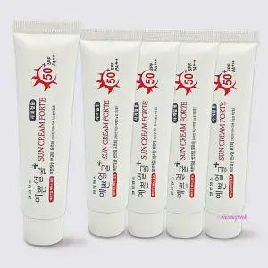 예쁜얼굴 썬크림 25g 5개 포르테xyz998