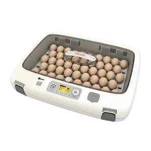 알콤 50 MAX DO 고품질 부화기