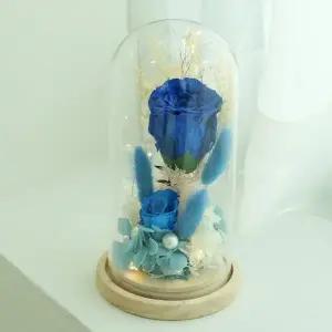 ( )장미 2송이 무드등 블루 LED 프리저브드 무드등 어버이날 스승의날 선물 감사