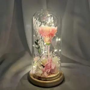 ( )프리저브드 카네이션 무드등 소 핑크 인테리어 조명 어버이날 스승의날 감사 선물