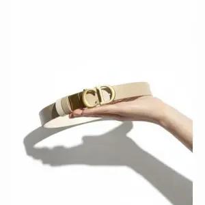 MUST IT_디올 Reorder Saddle 리버서블 벨트 B0335CWGA 868)