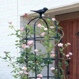 오벨리스크 식물 넝쿨 가든 지주대 철제 장미 프레임