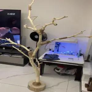 앵무새 스탠드 사다리 새장 횃대 원목 놀이터 장비 나무 그네