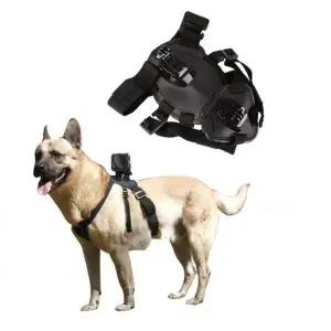 도그 마운트 강아지 고프로 고프로9 히어로9 애완견