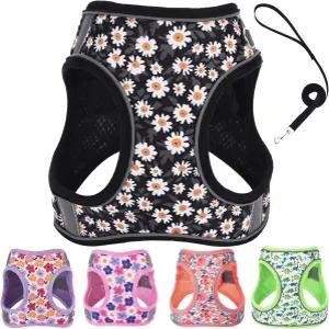 XXS 개 하네스 및 목줄 세트 걷기 러닝 트레이닝을 위한 노 풀 고양이 토끼를 강아지 필수품 조절 가능한