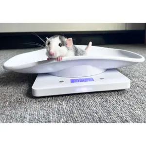 소동물 체중계 햄스터 동물 미니 기니피그 저울 소형견